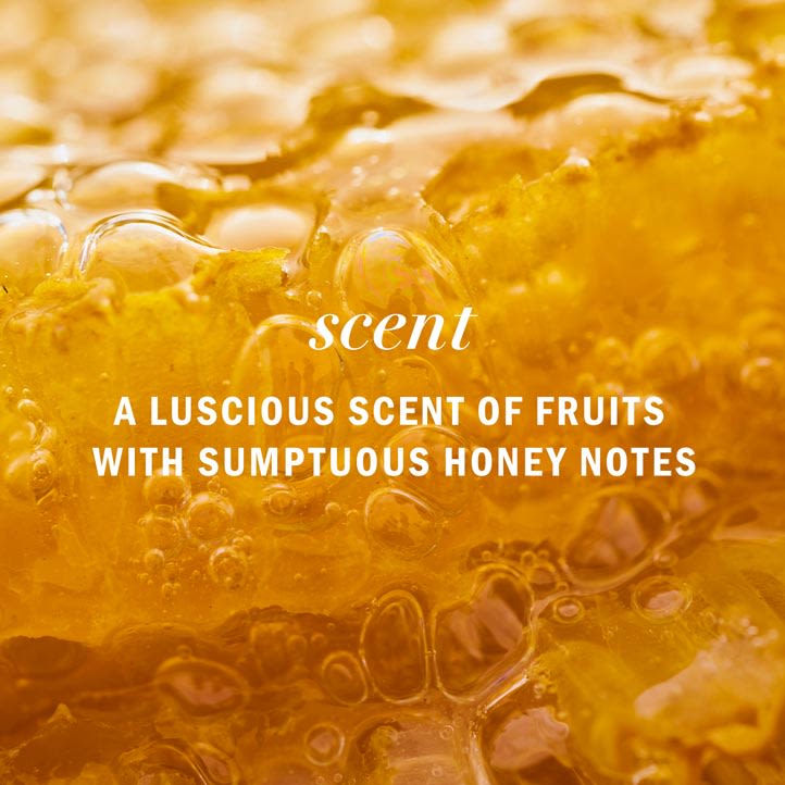 WELLICE HONEY HAIR NOURISHMENT HAIR SHAMPOO 400ML.